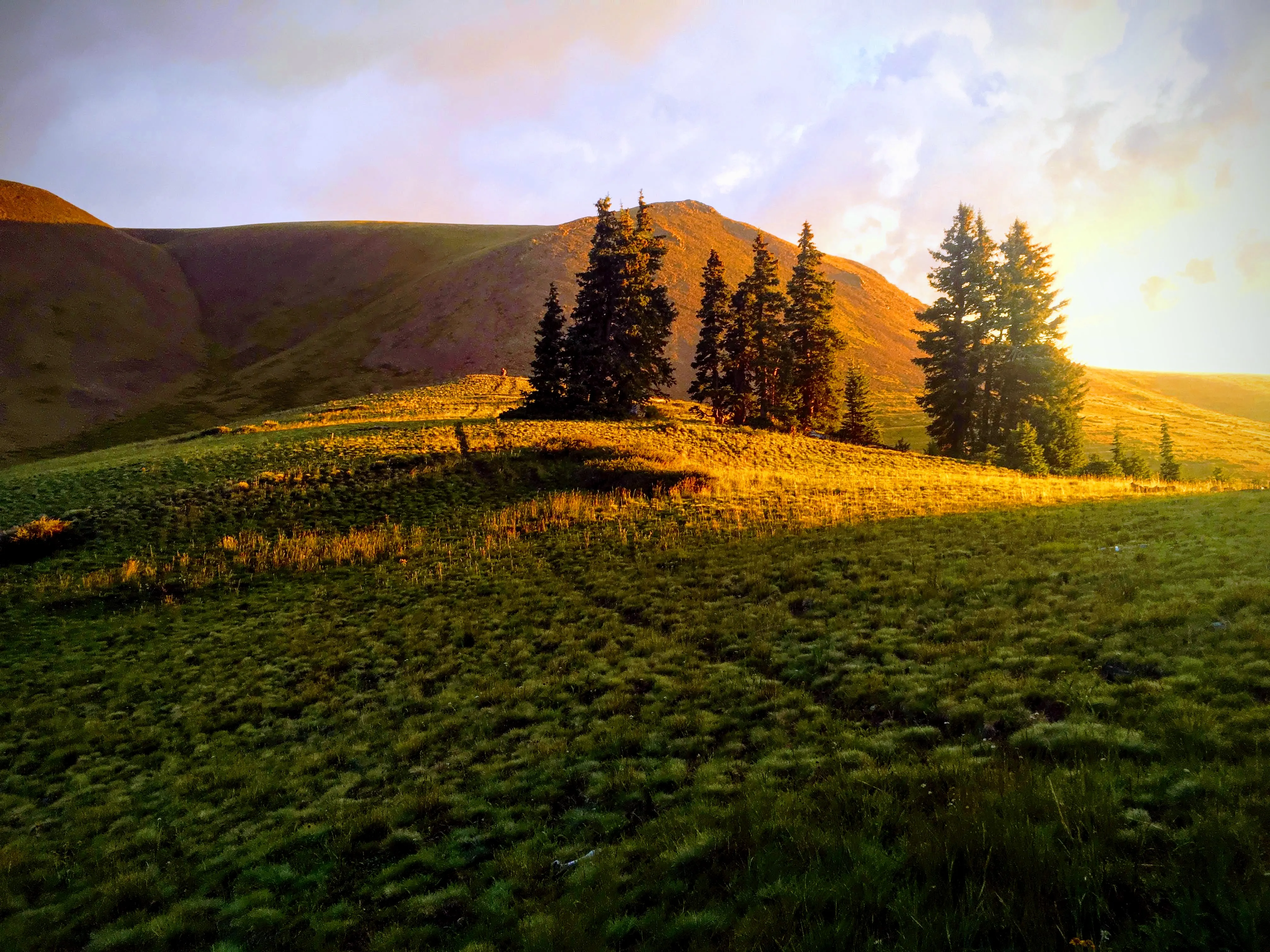 You Should Run Tushars: A Photo Essay