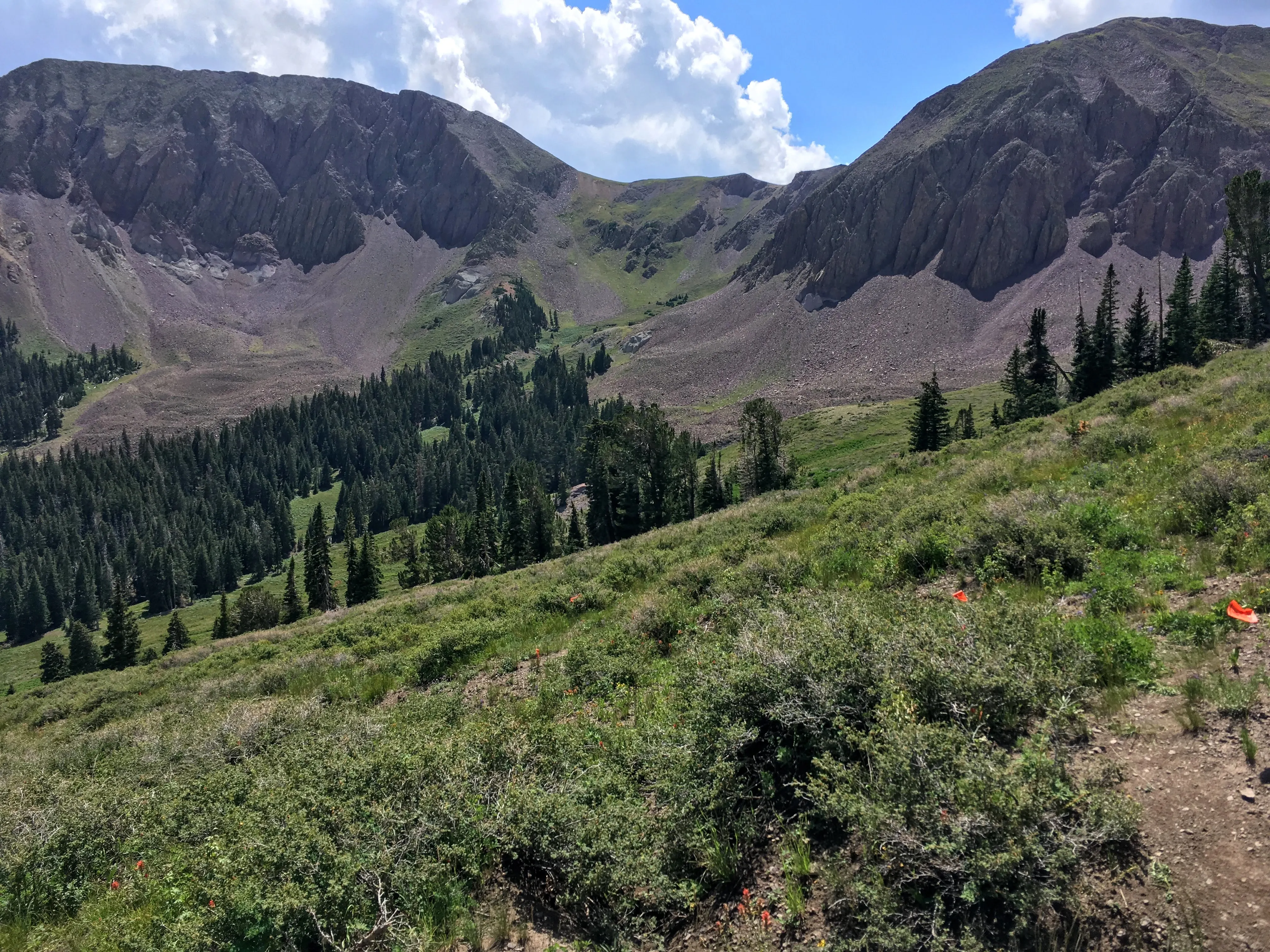 Tushars mountain vista